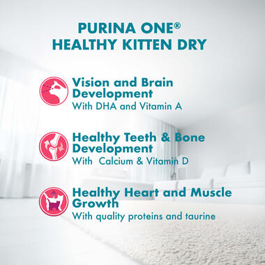 kitten dry benefits
