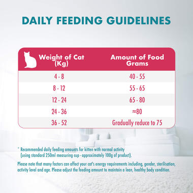 kitten dry feeding guide