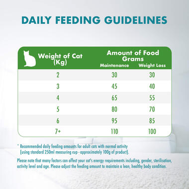 Adult Indoor Feeding Guide