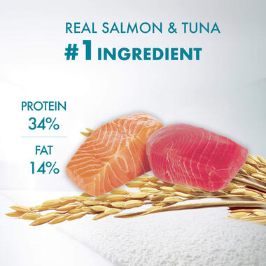 meat salmon tuna