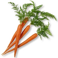 Dried carrot fibre