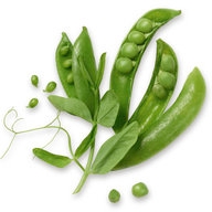 Dried pea carbohydrates