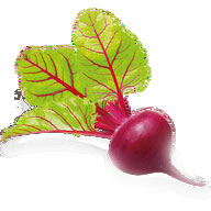 Dried red beetroot carbohydrates