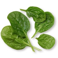 Dried spinach protein