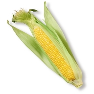 Maize carbohydrates