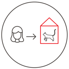 Avoidance or rehoming is a common recommendation to manage cat allergens.