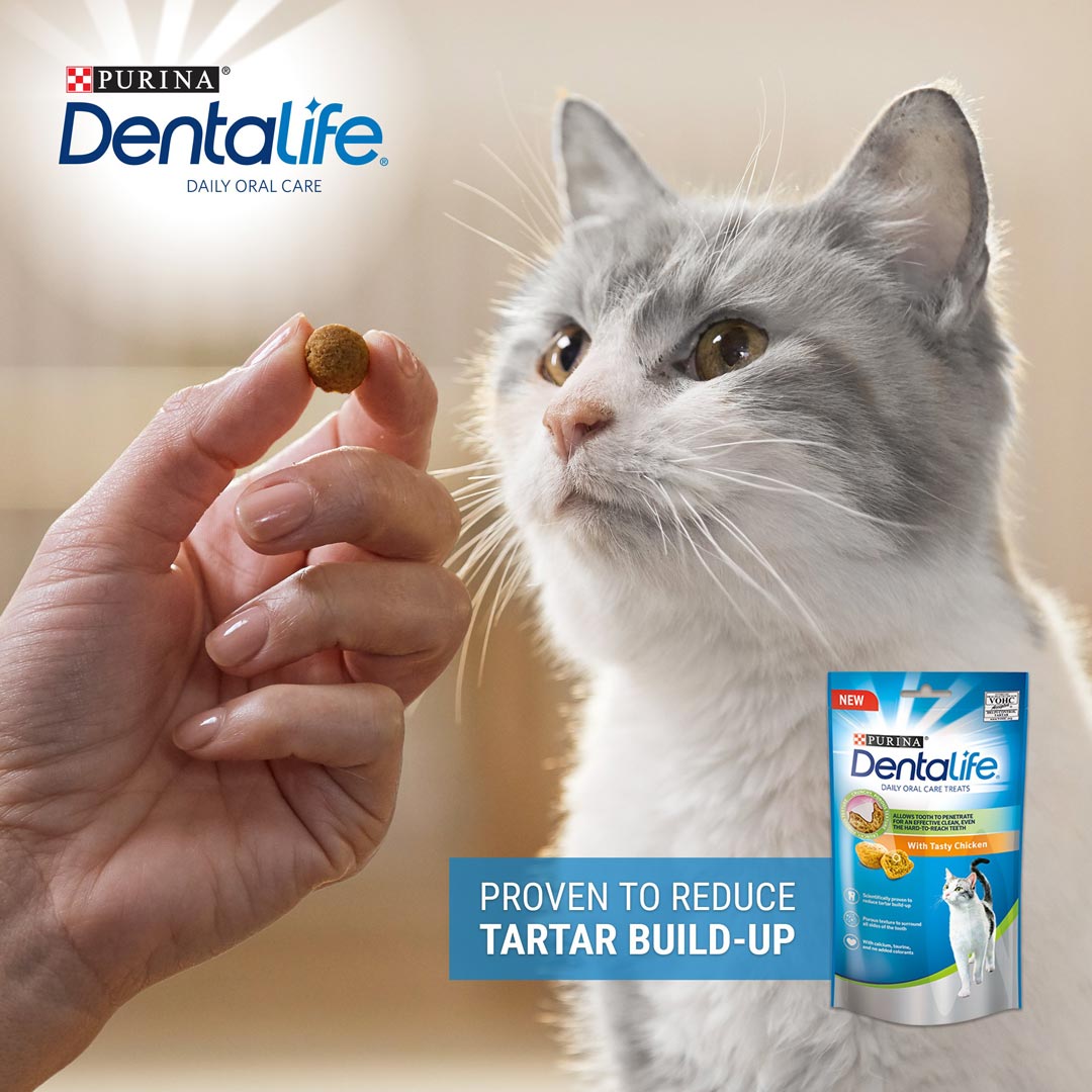 Cat deals tartar treats
