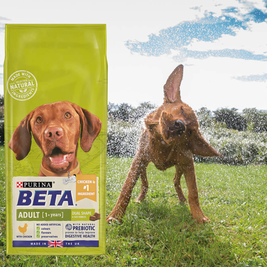 beta dog food