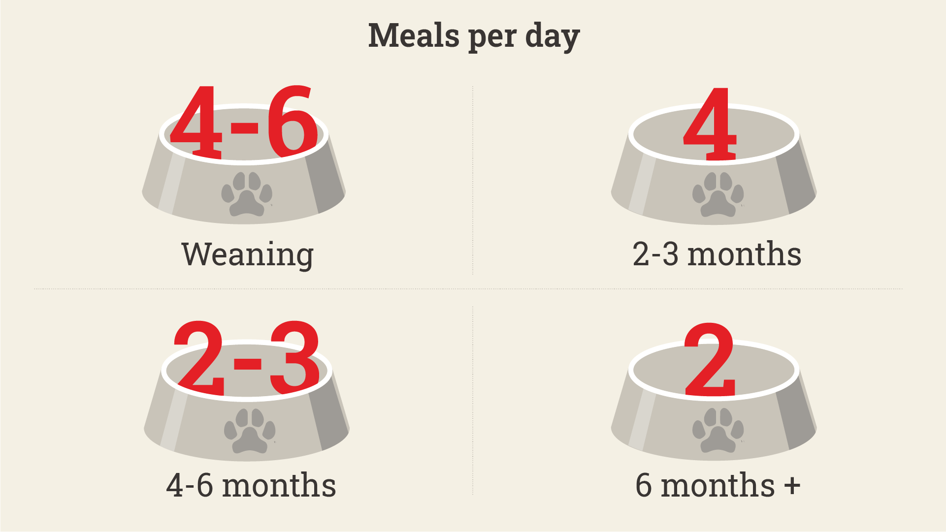 Feeding Your Puppy The Complete Guide Purina