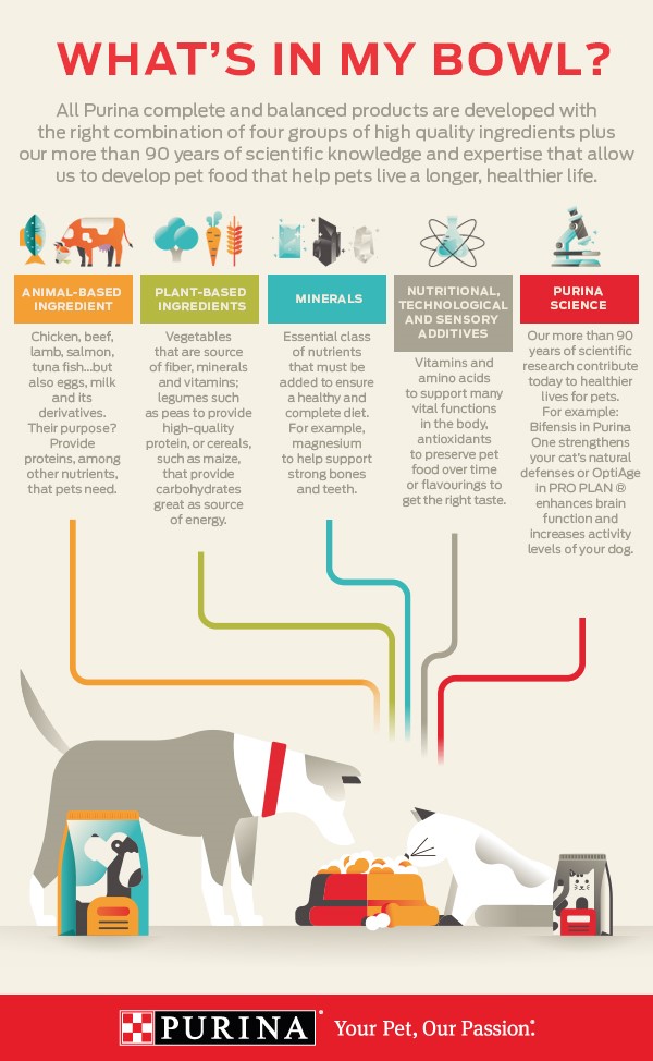 what is in my bowl infographics