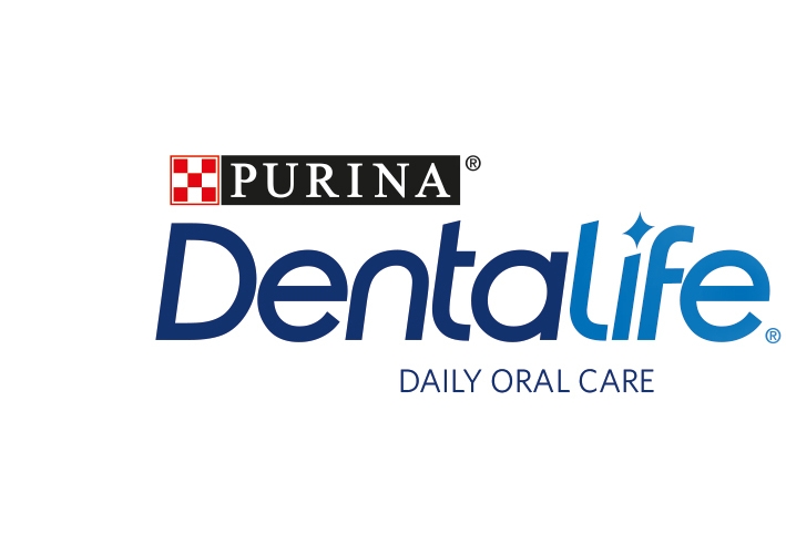 Dentalife