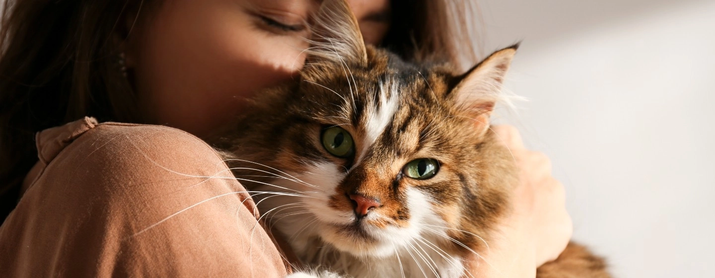 Woman holding cat