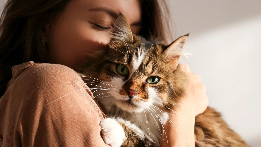 Woman holding cat