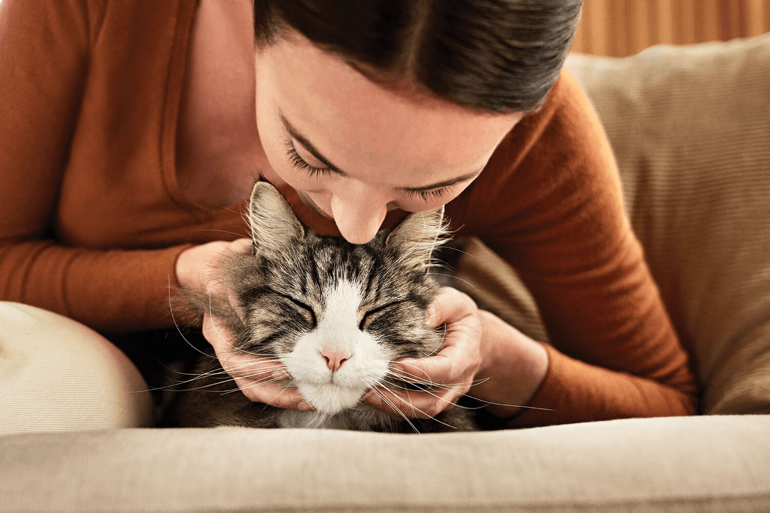 Current methods for managing cat allergens have limitations