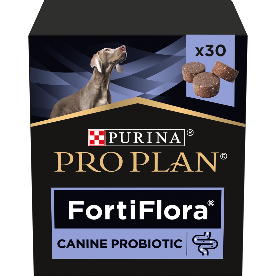 Fortiflora for shop dogs dosage