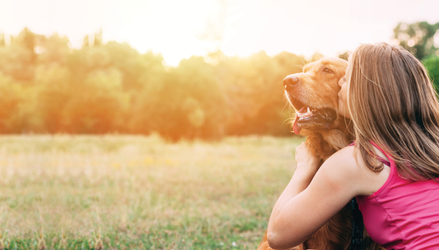 A person holding a dog