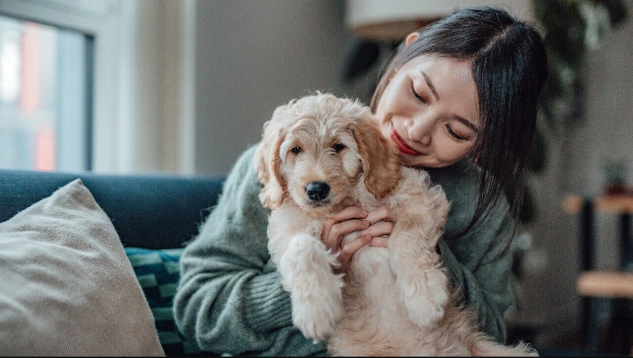 Female-dog-names