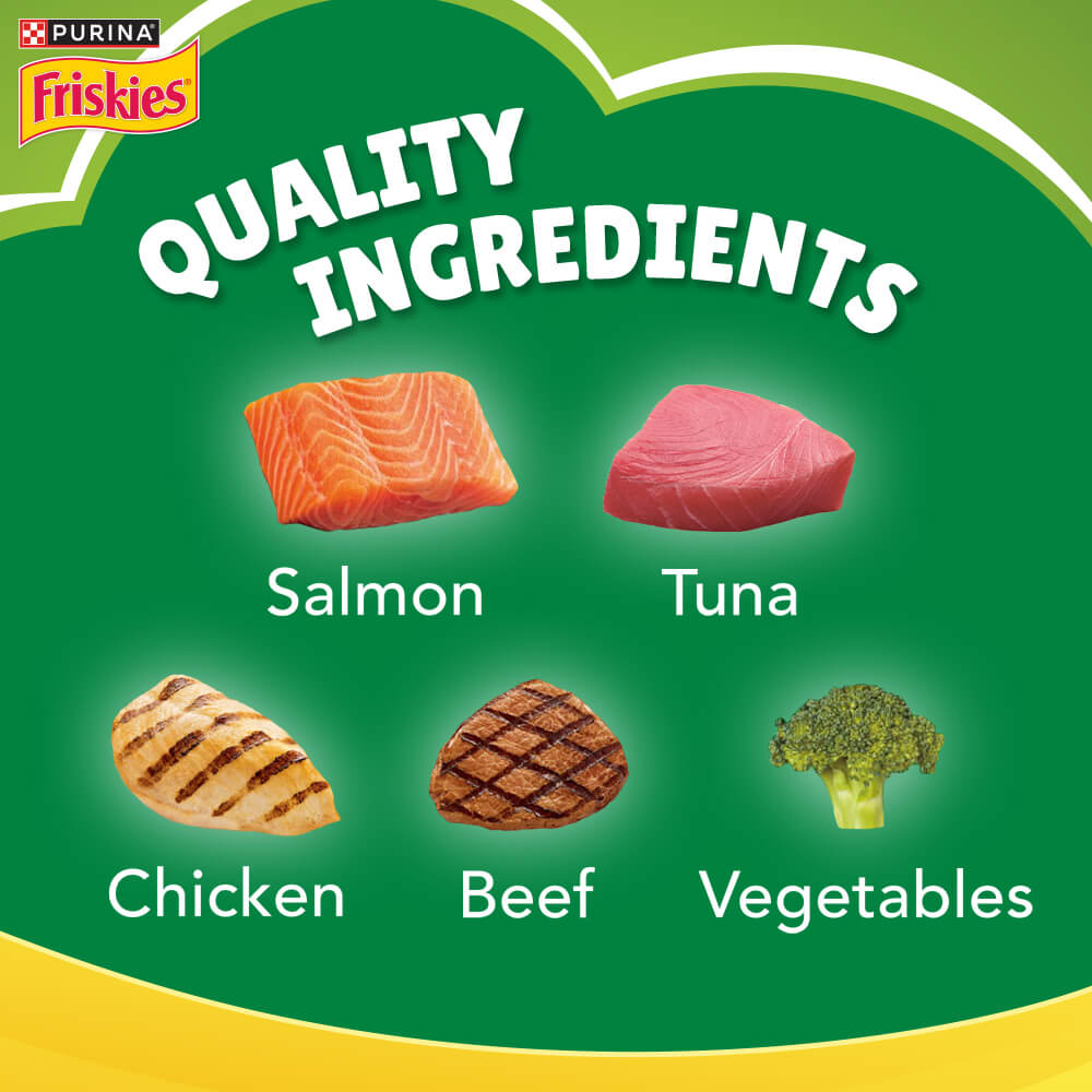 FRISKIES Adult Indoor Delights Dry Cat Food Purina