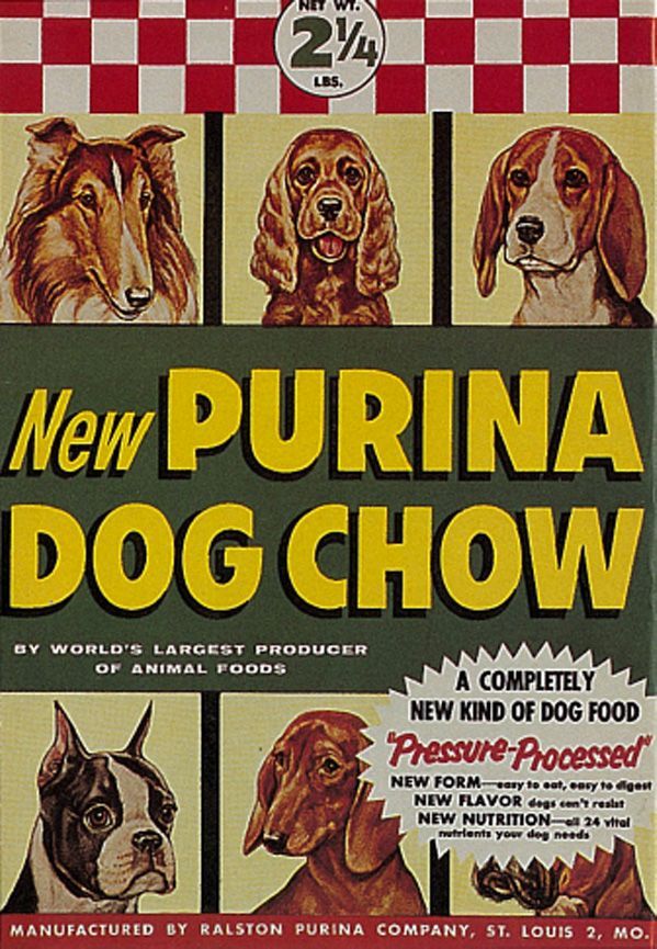 Purina Poster