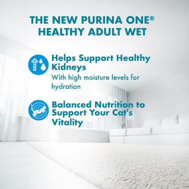 PURINA ONE Adult with Ocean Fish in Gravy Wet Cat Food