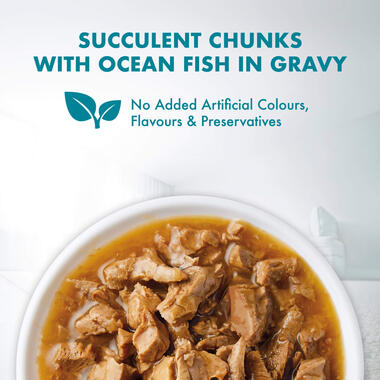 PURINA ONE Adult with Ocean Fish in Gravy Wet Cat Food