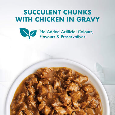 PURINA ONE Kitten with Chicken in Gravy Wet Cat Food