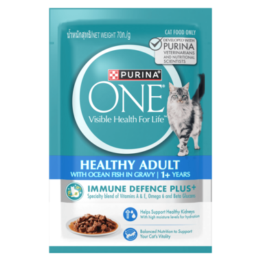  PURINA ONE Adult With Ocean Fish In Gravy Wet Cat Food