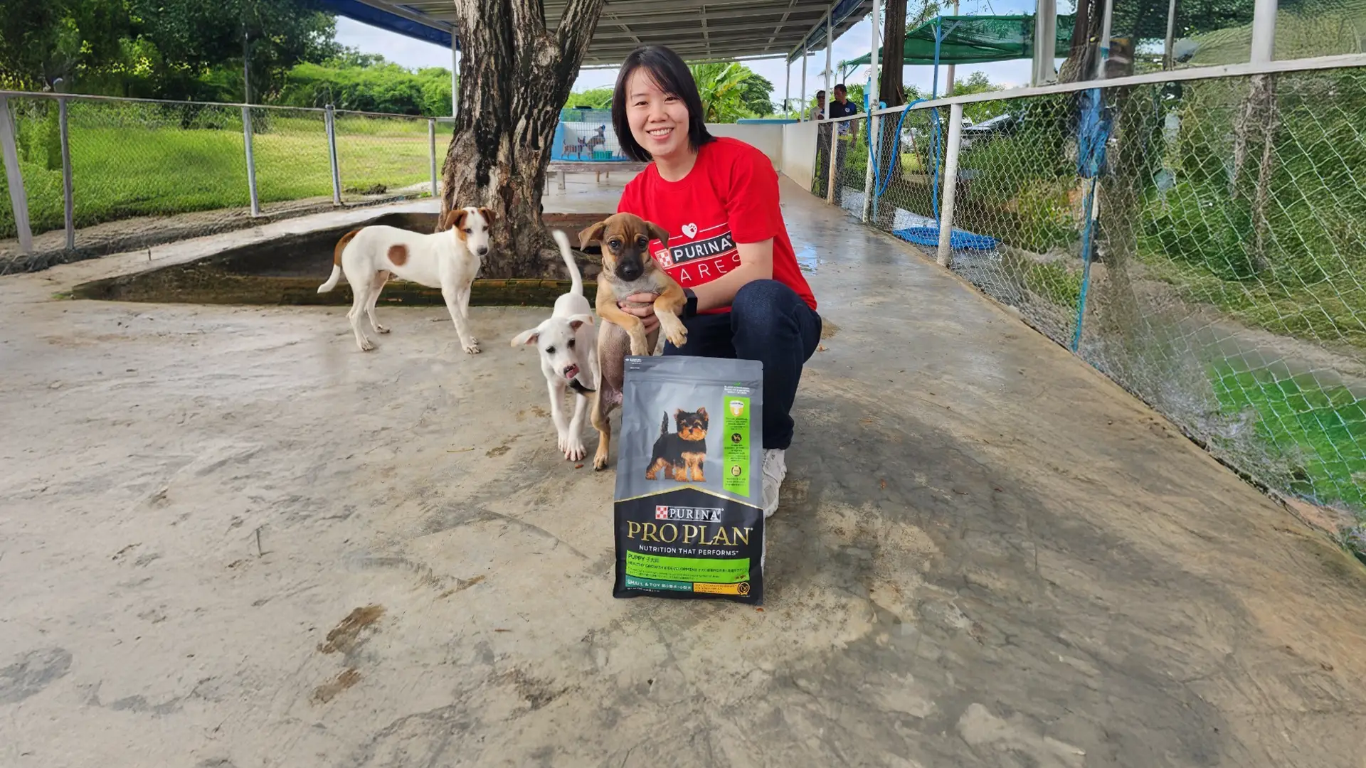 Purina Cares Volunteering