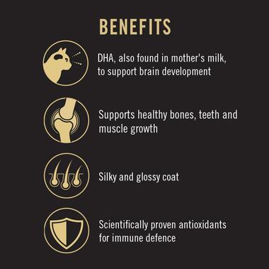 PRO PLAN® KITTEN, CHICKEN combines all essential nutrients including DHA, vitamins C and D with colostrum, in a high protein 