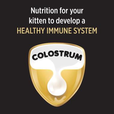 PRO PLAN® KITTEN, CHICKEN combines all essential nutrients including DHA, vitamins C and D with colostrum, in a high protein 