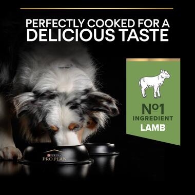 Medium Puppy Sensitive Digestion Lamb Dry Dog Food