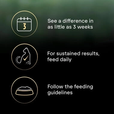 Purina Pro Plan LiveClear Kitten, Rich in Turkey