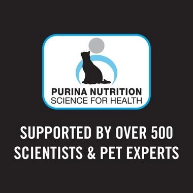 PRO PLAN® KITTEN, CHICKEN combines all essential nutrients including DHA, vitamins C and D with colostrum, in a high protein 