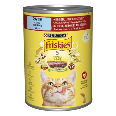 Friskies in Gravy with Beef and Vegetables Wet Cat Food