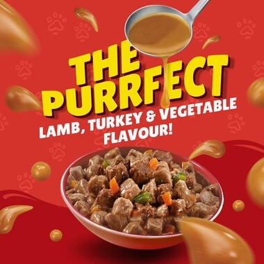 Friskies in Gravy with Lamb, Turkey and Vegetables
