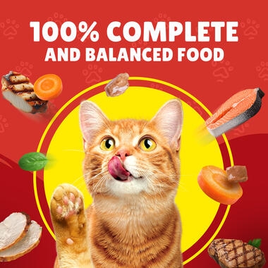 Friskies in Gravy with Lamb, Turkey and Vegetables