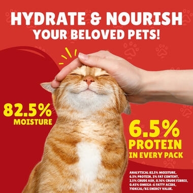 Friskies in Gravy with Lamb, Turkey and Vegetables