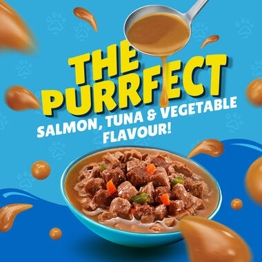 Friskies Gravy with Salmon, Tuna, Vegetables Wet Cat Food