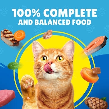 Friskies Gravy with Salmon, Tuna, Vegetables Wet Cat Food