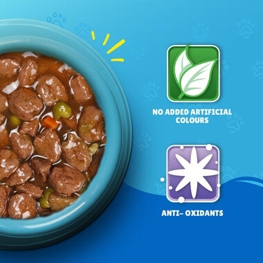 Friskies Gravy with Salmon, Tuna, Vegetables Wet Cat Food