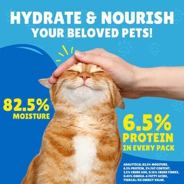 Friskies Gravy with Salmon, Tuna, Vegetables Wet Cat Food