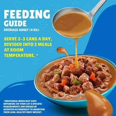 Friskies Gravy with Salmon, Tuna, Vegetables Wet Cat Food