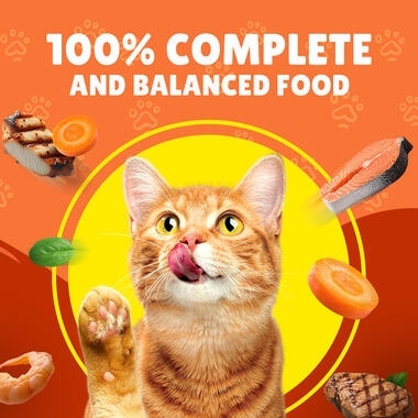 Friskies in Pate with Beef and Vegetables Wet Cat Food