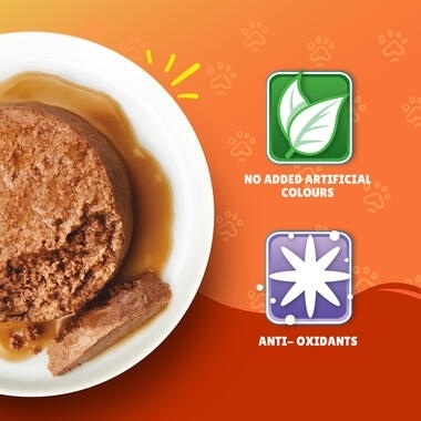 Friskies in Pate with Beef and Vegetables Wet Cat Food