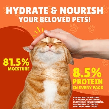 Friskies in Pate with Beef and Vegetables Wet Cat Food