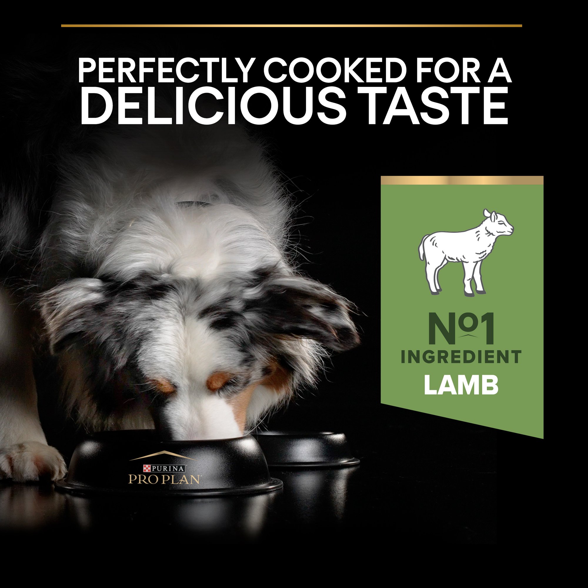 Pro Plan Sensitive Digestion Dry Dog Food - Lamb Formula (S/M Breeds)