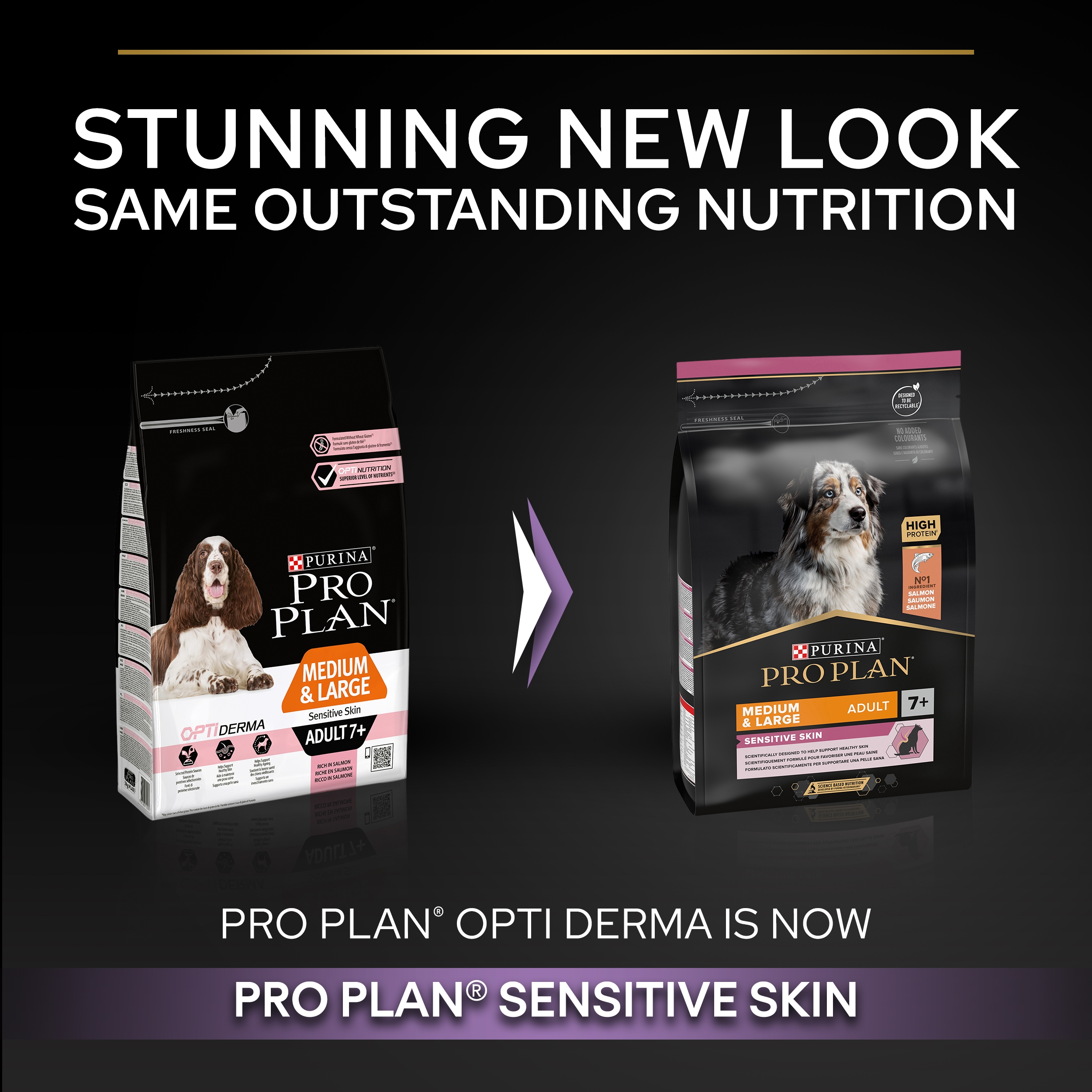 Purina Pro Plan Small and Mini Puppy Sensitive Skin, Dry Dog food with Salmon