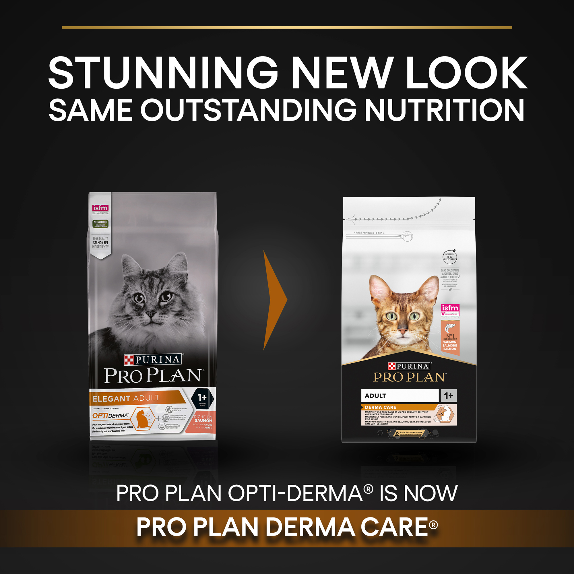 Purina Pro Plan Adult Derma Care, Dry Cat Food with Salmon