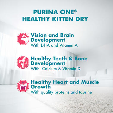 Purina ONE® Active Kitten Chicken