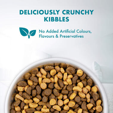 Purina ONE® Active Kitten Chicken